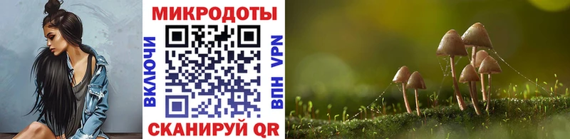 продажа наркотиков  Алейск  Псилоцибиновые грибы Magic Shrooms 